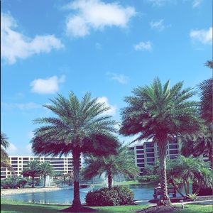 Meet your Posher, Janessa